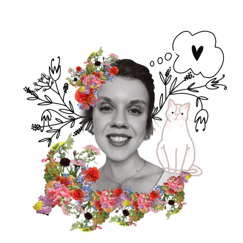 Obrázek epizody Nenáročné pokojové rostliny a jejich péče