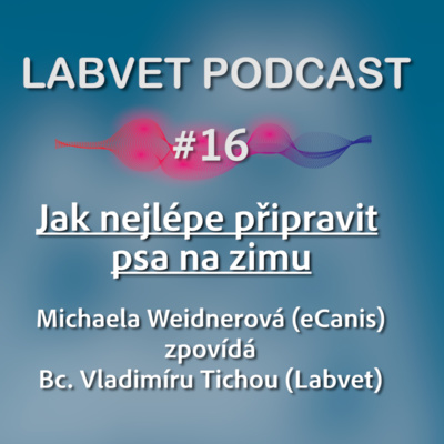 Obrázek epizody Dědičně podmíněné choroby psů