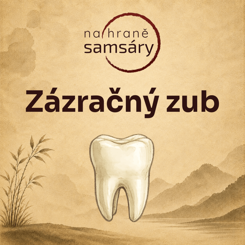 Obrázek epizody 16. Zázračný zub