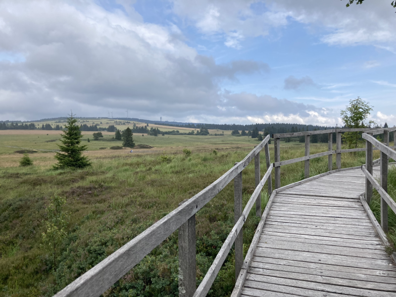 Obrázek epizody Rašeliniště v Krušných horách