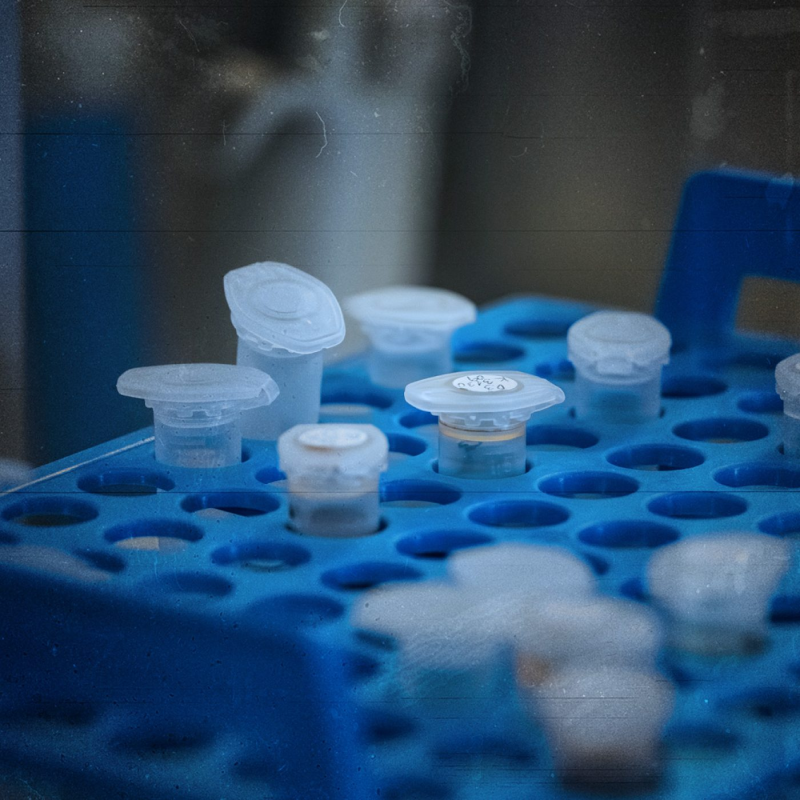 Obrázek epizody Věda je úžasná aneb Forenzní genetika