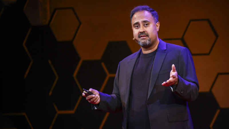 Obrázek epizody Can AI match the human brain? | Surya Ganguli