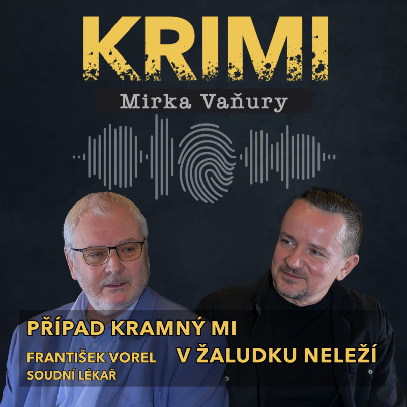 Obrázek epizody František Vorel - Případ Kramný mi v žaludku neleží