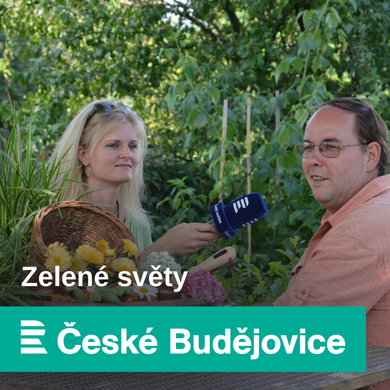 Obrázek epizody Stromkové růže, astry a marmelády