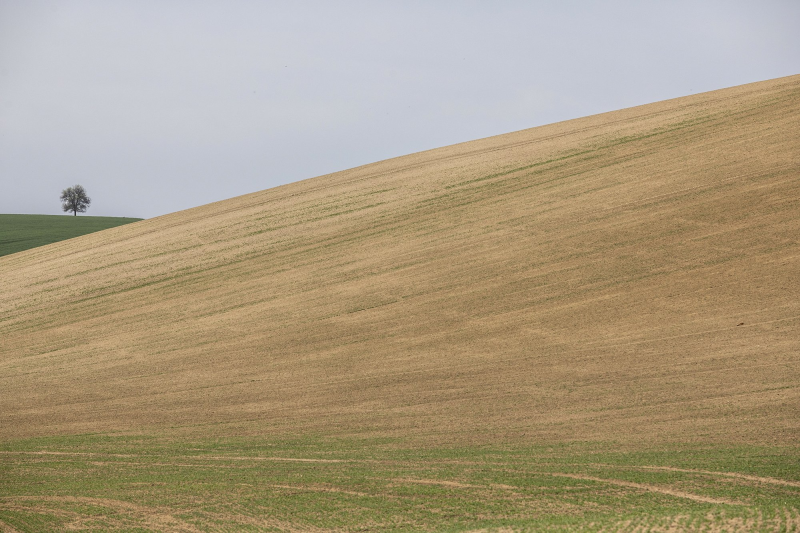 Obrázek epizody Poprvé v historii se pokusíme obnovit, co už jsme v přírodě zničili