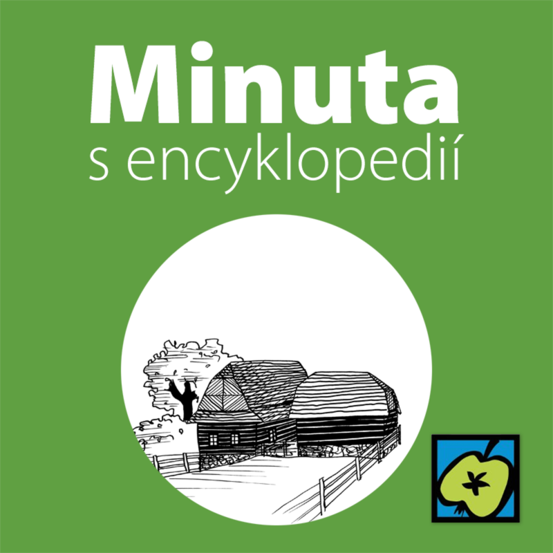 Obrázek epizody Skanzen