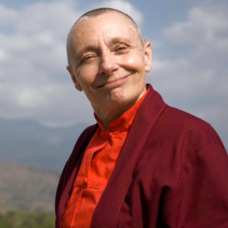 Obrázek epizody Proč se vyplatí pečovat o naši mysl a nedělat z ní odpadkový koš? - Džecünma Tändzin Palmo