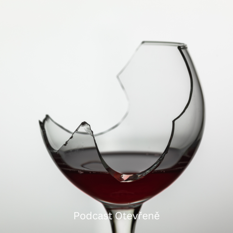 Obrázek epizody #34 - Příběh Silvie aneb o dětství a dospívání s mámou alkoholičkou.