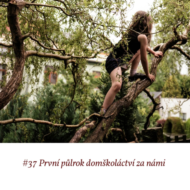 Obrázek epizody #37 První půlrok domškoláctví za námi
