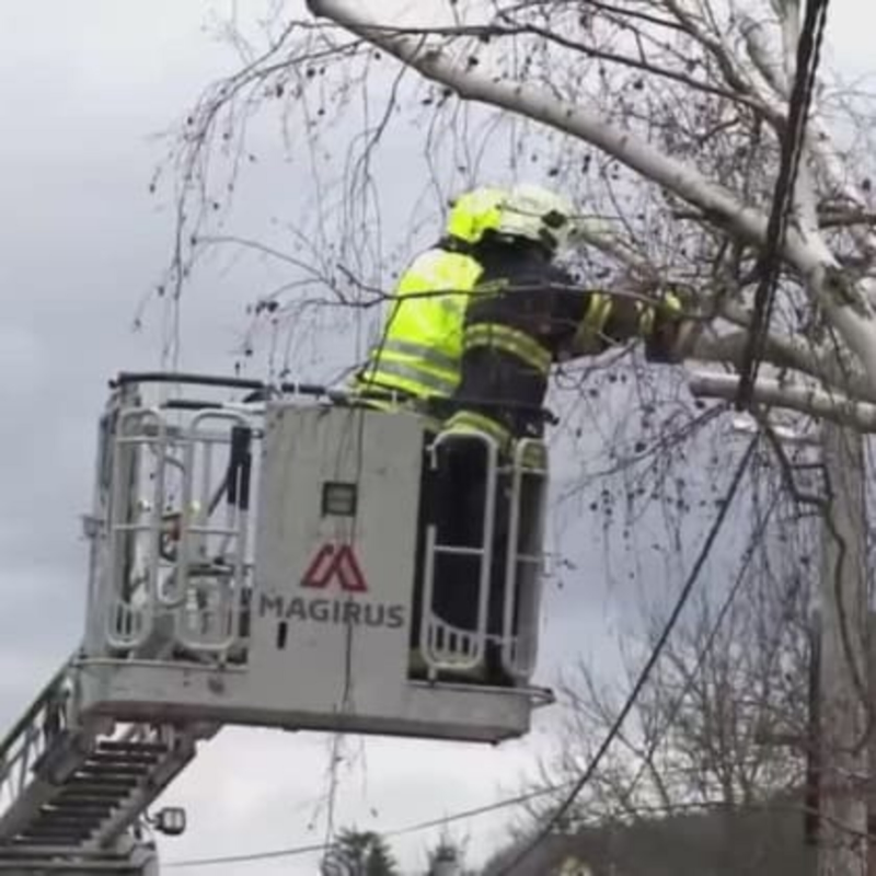 Obrázek epizody Jaro se odkládá, bude sněžit