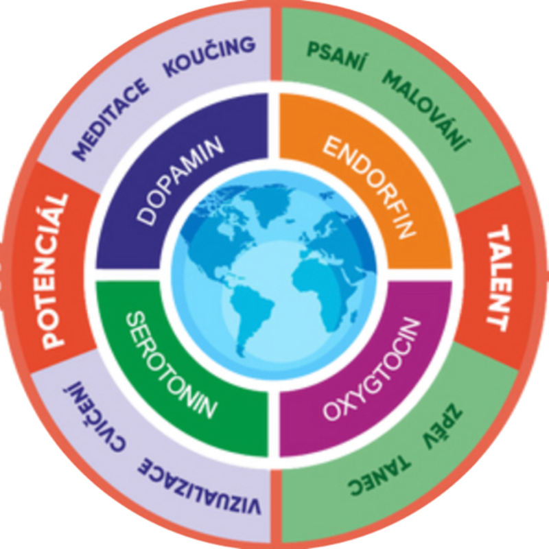 Obrázek epizody Chaos a pořádek v každodenním životě