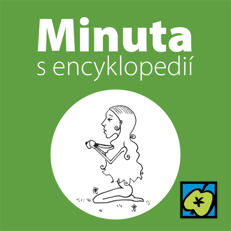 Obrázek epizody Labuť