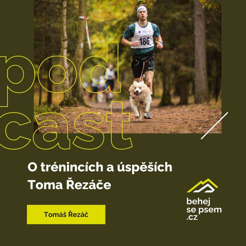 Obrázek epizody Srdcař s borderkou | Tomáš Řezáč