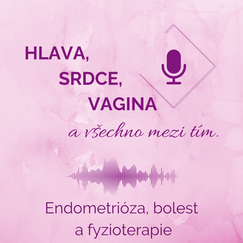 Obrázek epizody Endometrióza, bolest a fyzioterapie