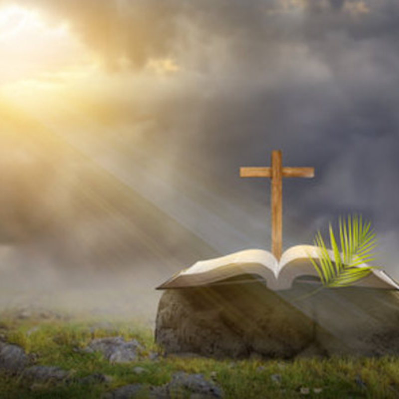 Obrázek epizody Mladý muž vyléčený z hypertenze.