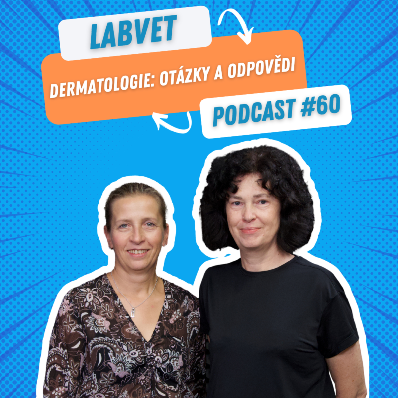 Obrázek epizody LABVET Podcast #60 - Dermatologie: otázky a odpovědi