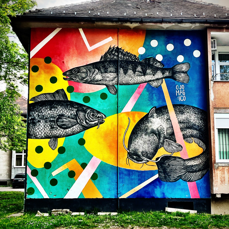 Obrázek epizody Blender show #19