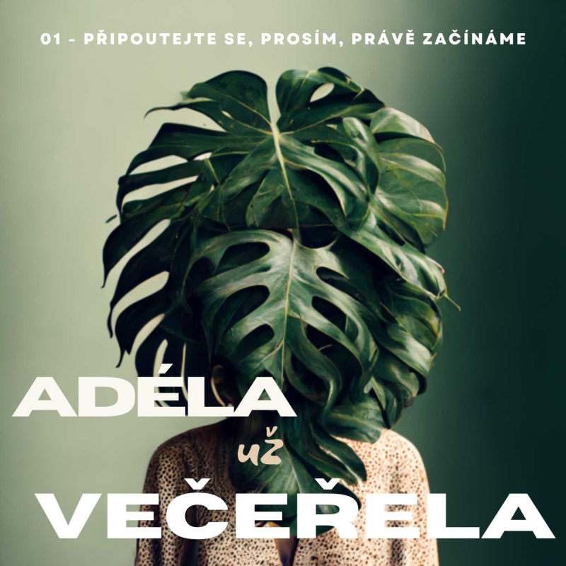 Obrázek epizody 01 - Připoutejte se, prosím, právě začínáme