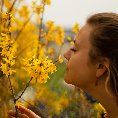 Obrázek epizody #22 Zlatá Transformace