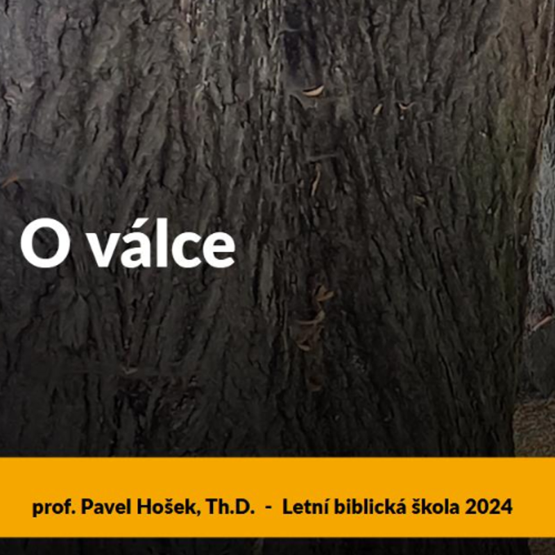 Obrázek epizody O válce - Pavel Hošek