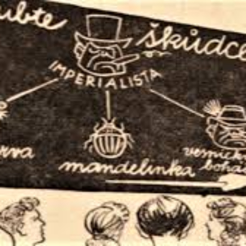 Obrázek epizody Crossover s Kanárky v síti