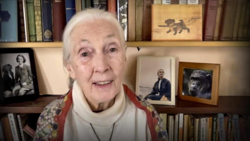 Obrázek epizody Every day you live, you impact the planet | Jane Goodall