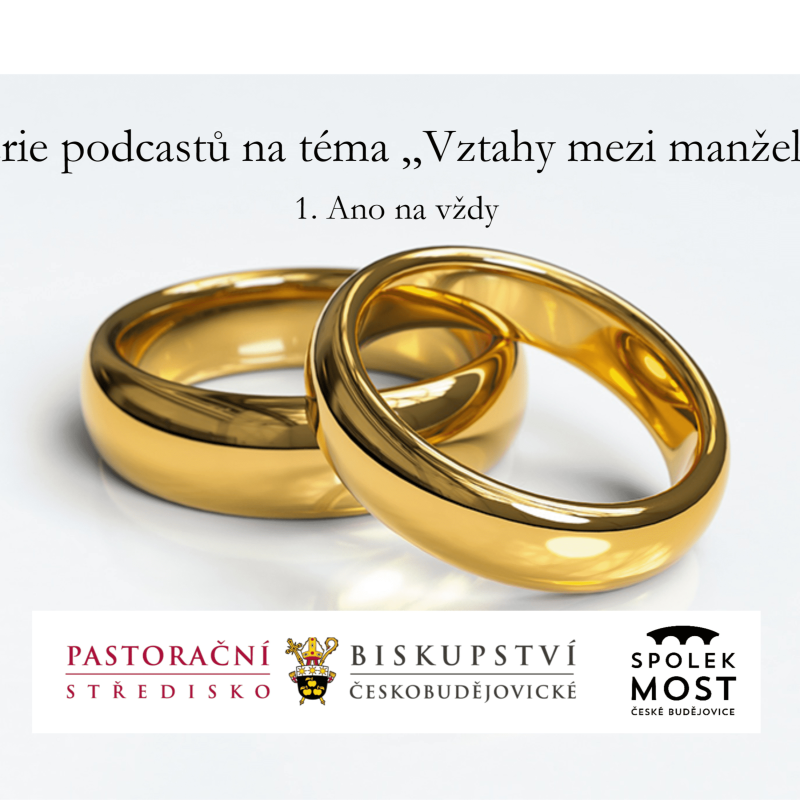 Obrázek epizody Vztahy mezi manželi a v rodině - 16. díl - Její touhy