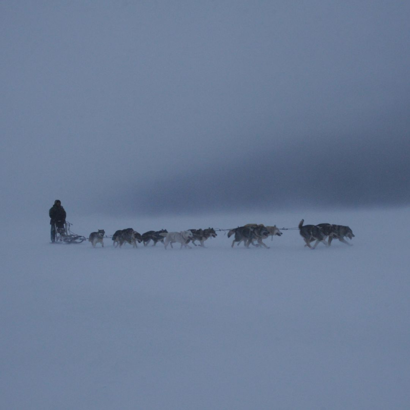 Obrázek epizody Scottova osudná volba