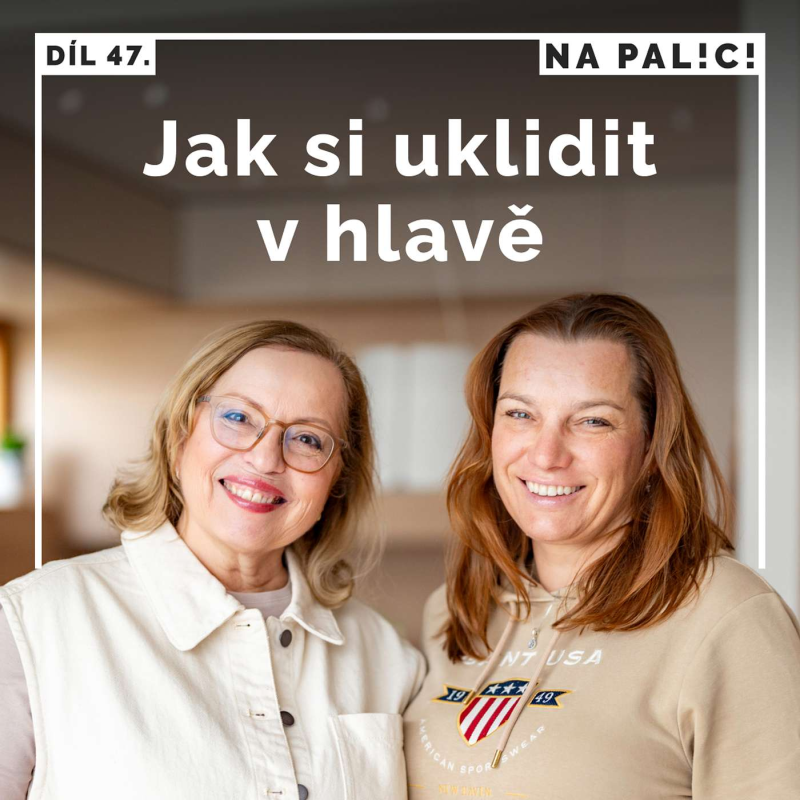 Obrázek epizody 47. díl - Jak si uklidit v hlavě