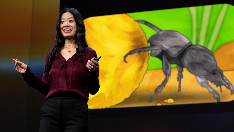 Obrázek epizody Are insect brains the secret to great AI? | Frances S. Chance