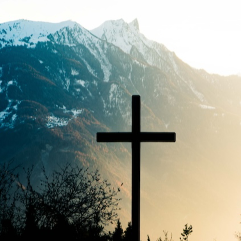 Obrázek epizody Muž vyléčený z rakoviny prostaty a nachází štěstí.