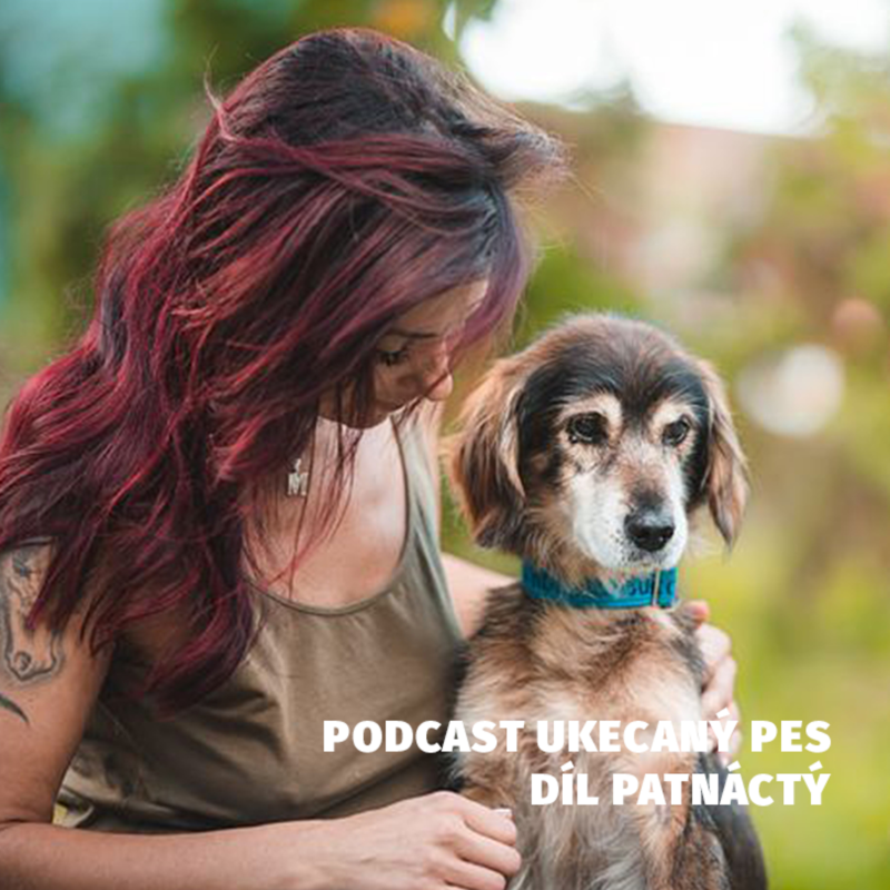 Obrázek epizody Už jste někdy slyšeli o psím hospicu? Poslechněte si rozhovor s Eliškou Vafkovou