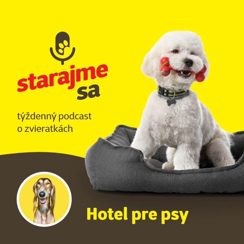 Obrázek epizody Psy: Hotel pre psy