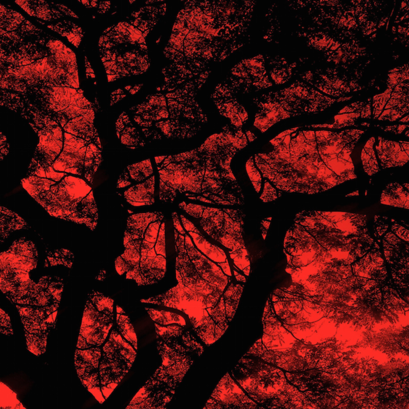 Obrázek epizody #46 — The End of Faith Sessions 3