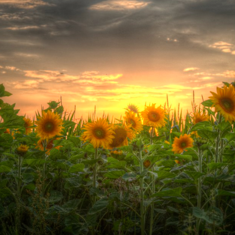 Obrázek epizody Mají letní prázdniny smysl?
