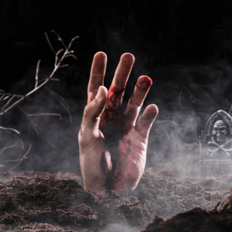 Obrázek epizody Teorie práva