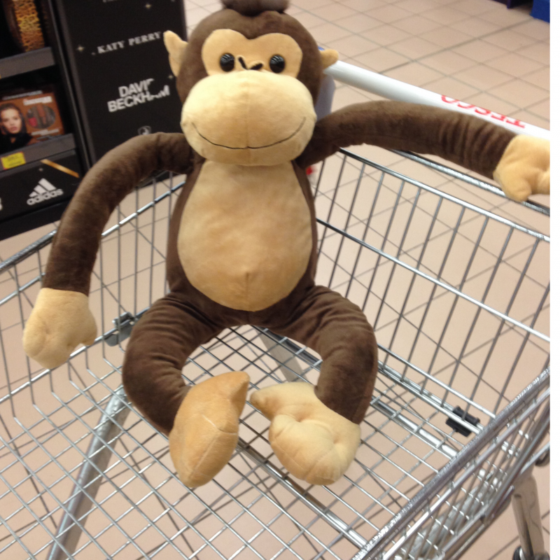 Obrázek epizody K čemu je užitečná webová analytika