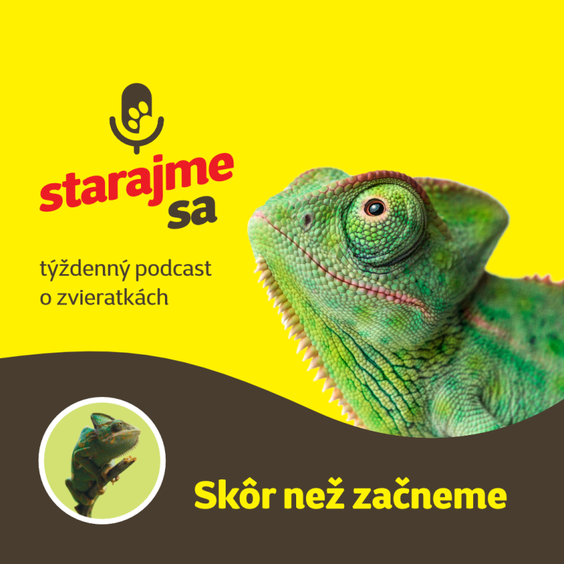 Obrázek epizody Teraristika: Skôr než začneme