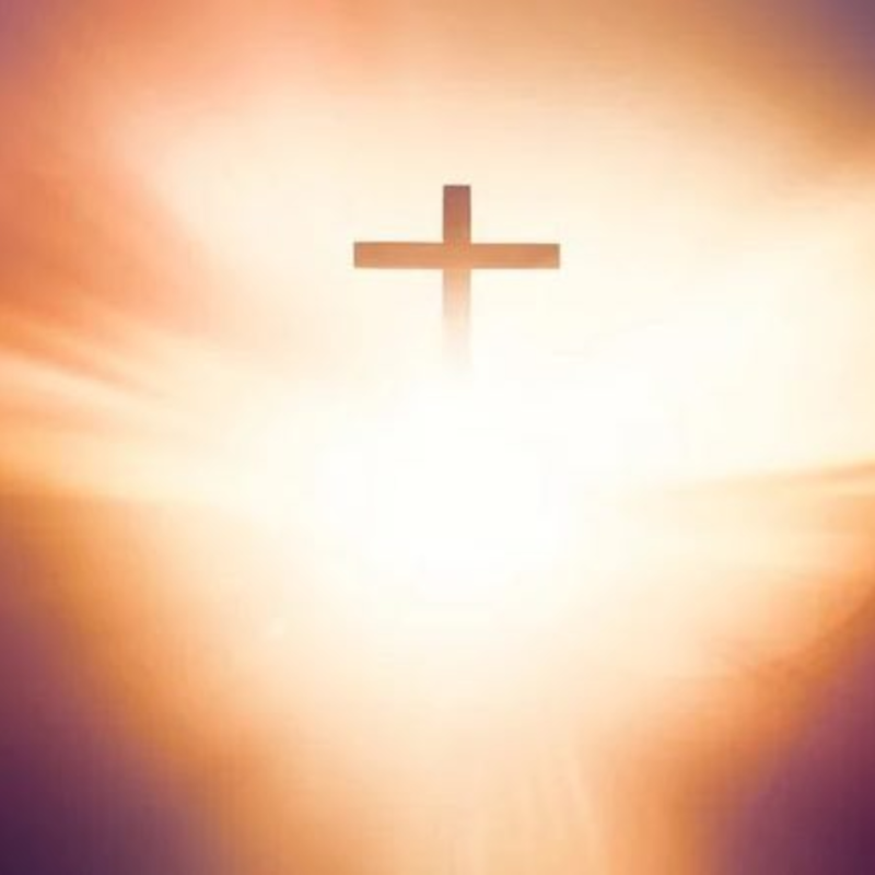 Obrázek epizody Co dělat když jste přemožen strachem.