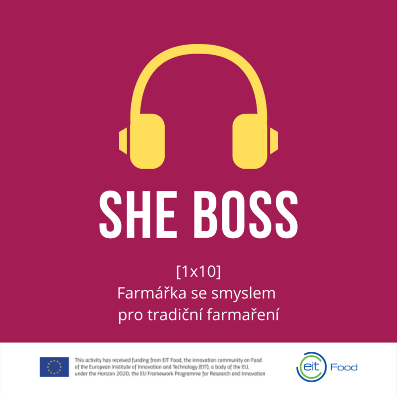 Obrázek epizody [1x01] Pekařka, která objevila kouzlo poctivého pečení