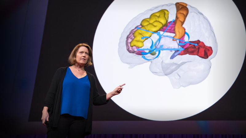 Obrázek epizody How to hack your brain when you're in pain | Amy Baxter