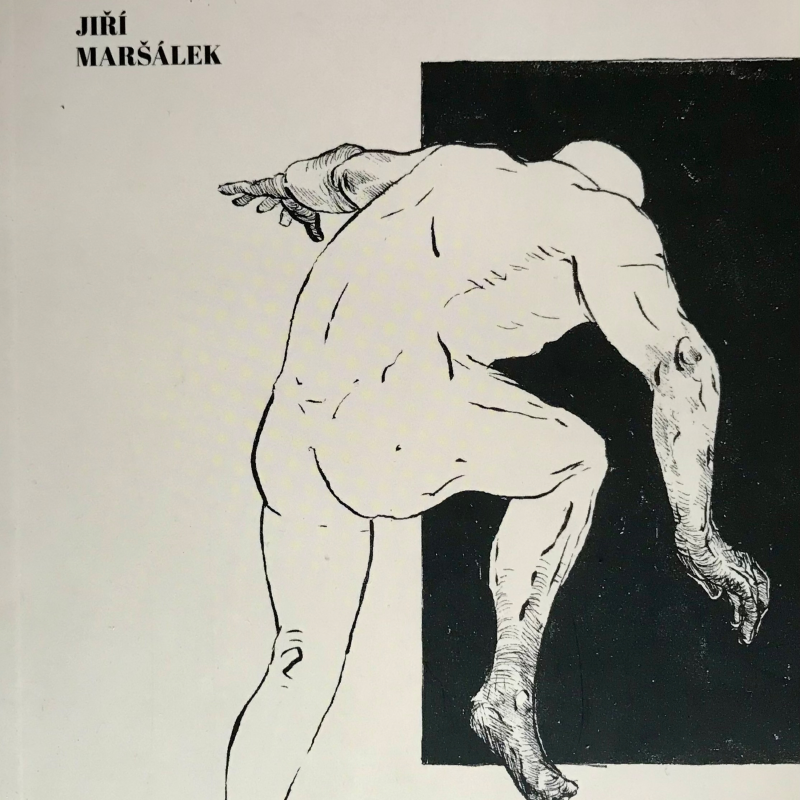 Obrázek epizody Večerní sláva Wiederhausera