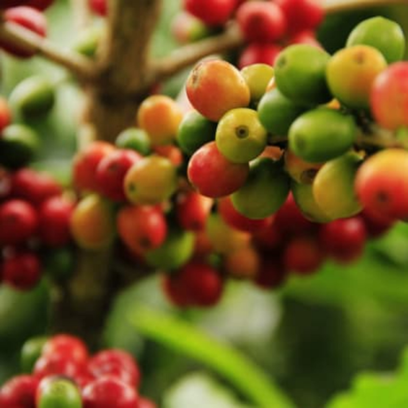 Obrázek epizody Prima SVĚT  2021 (14)