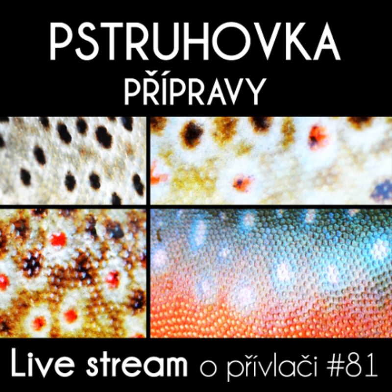 Obrázek epizody Přívlač Live #81 - Přípravy na pstruhové zahájení