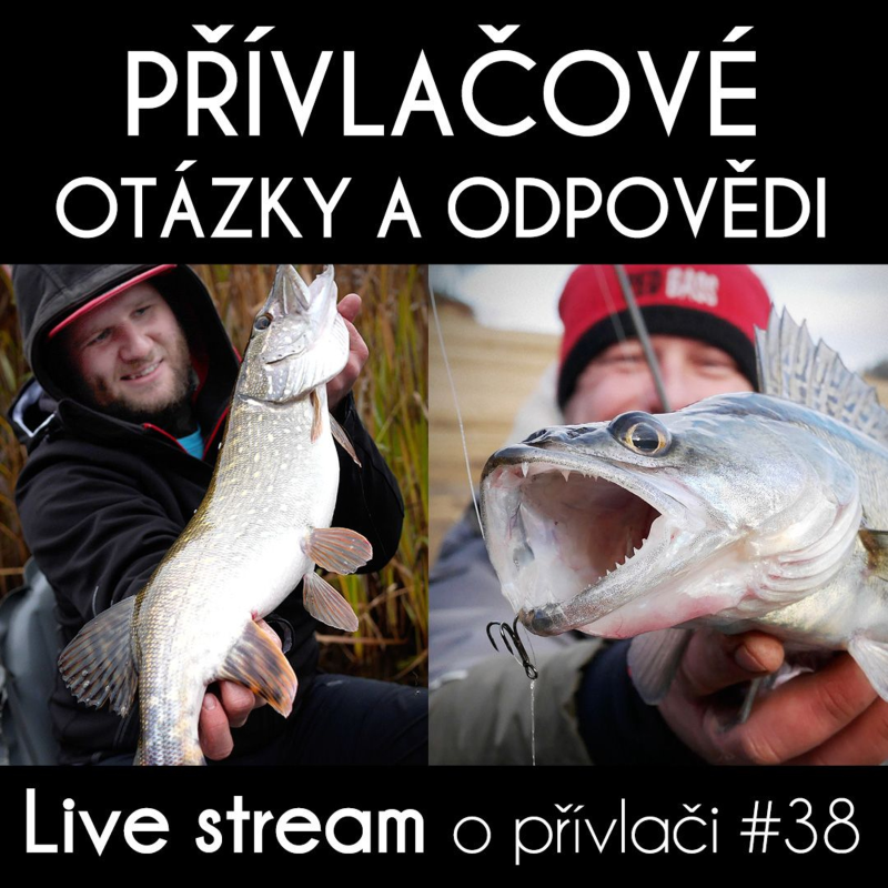 Obrázek epizody Přívlač live #38 - Otázky & odpovědi