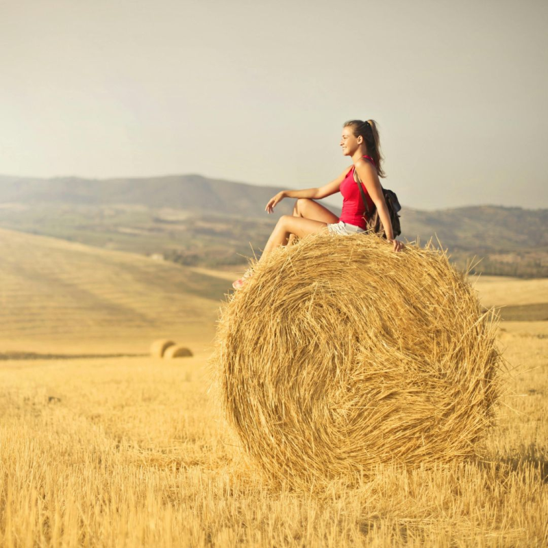Obrázek epizody Bóazova věrnost a štědrost