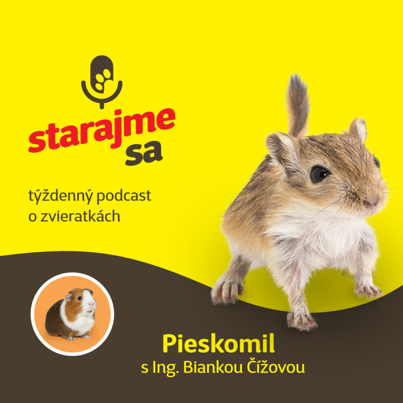 Obrázek epizody Drobné cicavce: Pieskomil