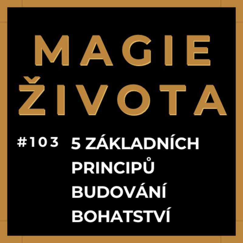 Obrázek epizody #103 - 5 ZÁKLADNÍCH PRINCIPŮ BUDOVÁNÍ BOHATSTVÍ | PENÍZE A HOJNOST | INVESTICE | CASHFLOW KVADRANT