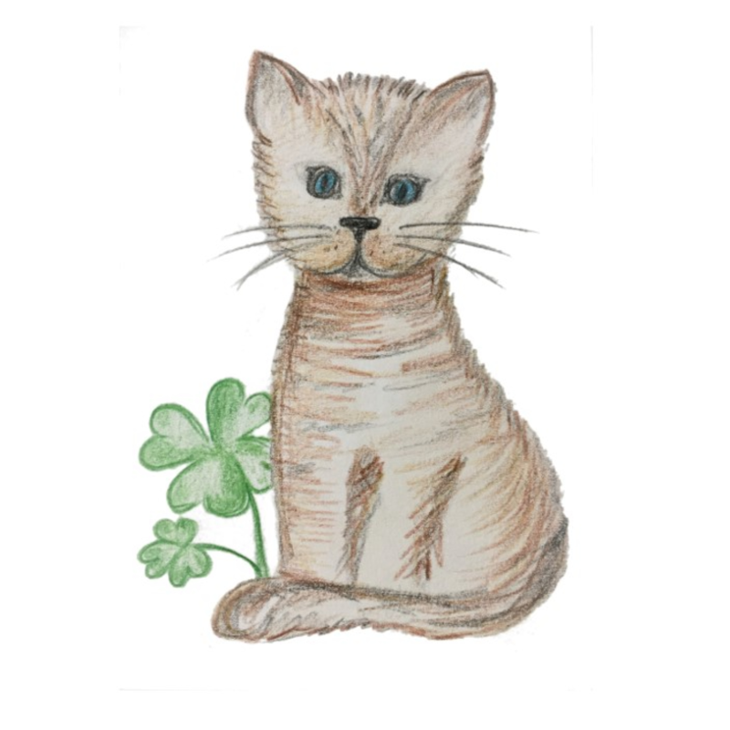 Obrázek epizody 2. O zvědavém koťátku