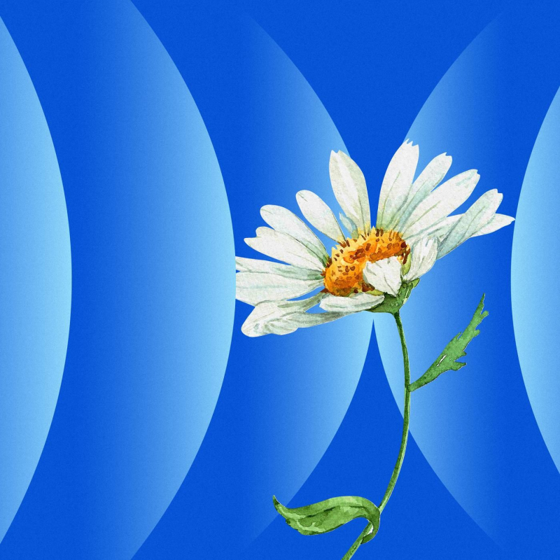 Obrázek epizody The Queen of Dying